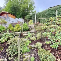 Property 33