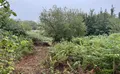 Property image gallery