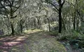 Property image gallery