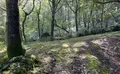 Property image gallery