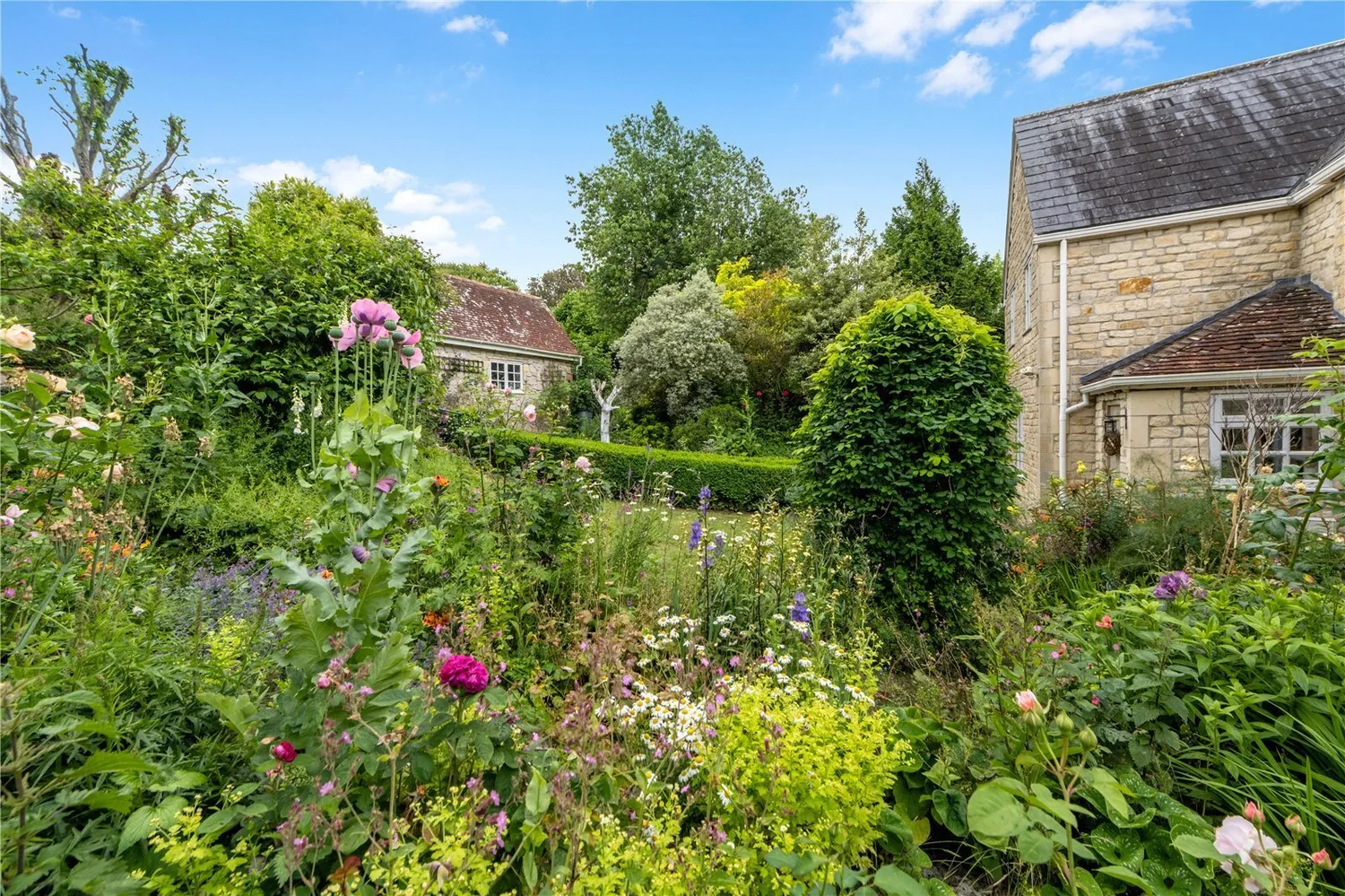 The Street, Stour Provost, SP8 photo 6