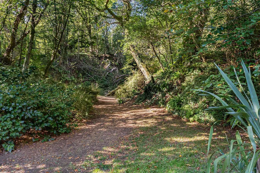 Property Image 36