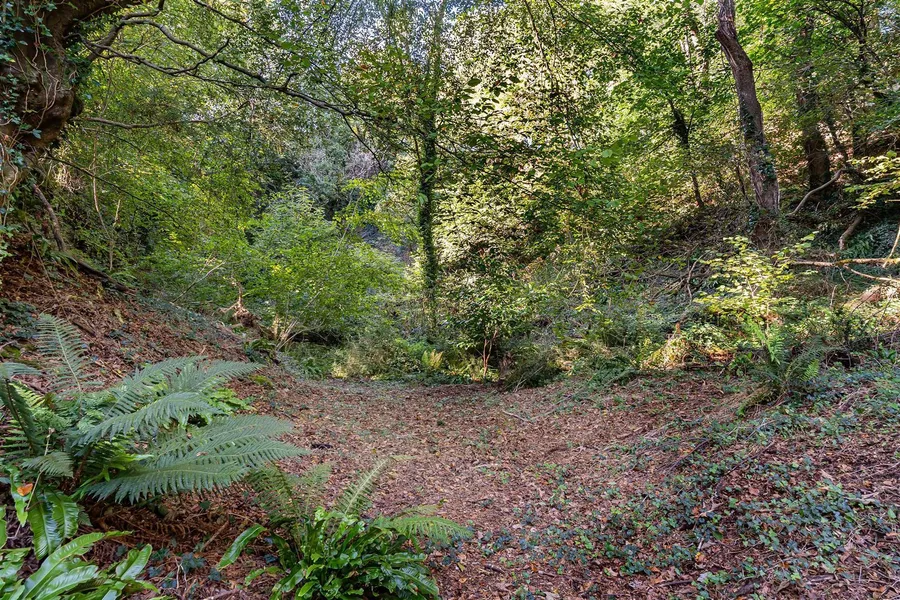 Property Image 39