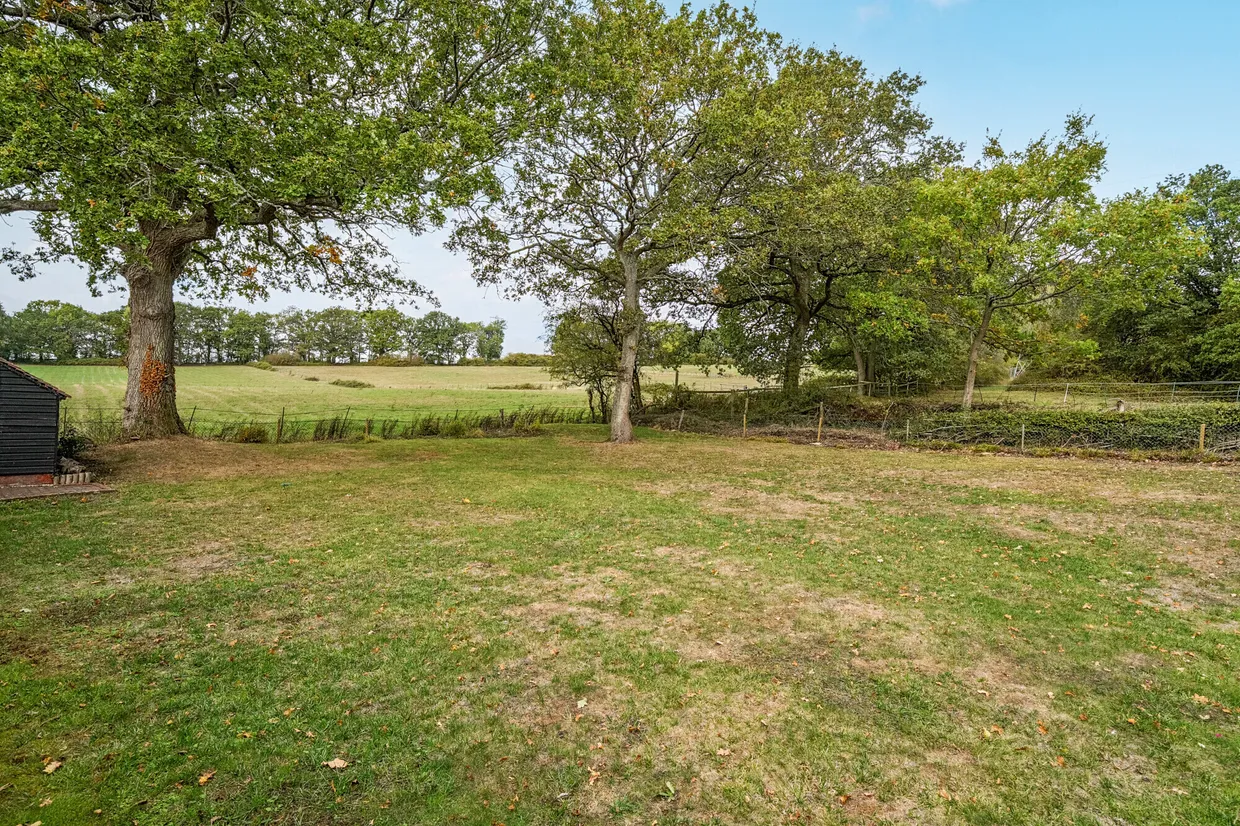 Middle Old Park, Farnham, GU9 photo 8