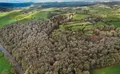 Property image gallery