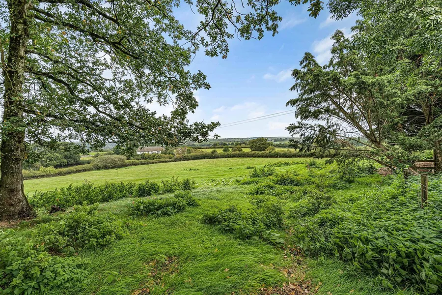 Property Image 52