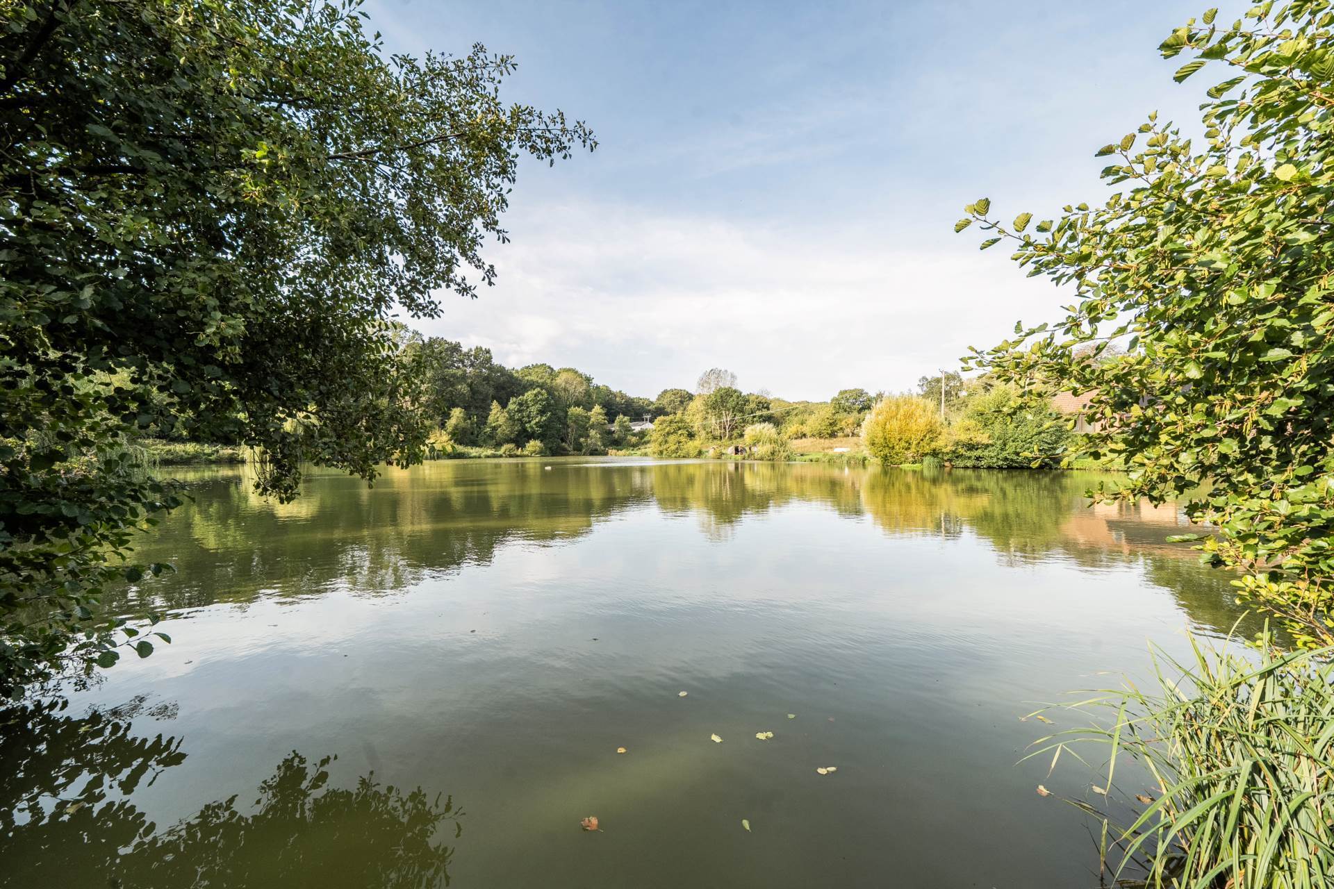 River Farm Carp Fishery, Fontley Road, Fareham Image 5