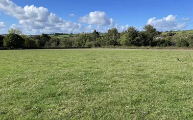 Butterleigh