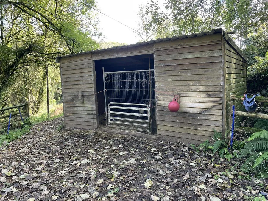 Property Image 12