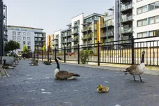 Boardwalk Place, E14 photo 13