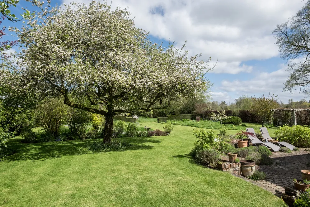 Chawton, Hampshire, GU34 photo 10