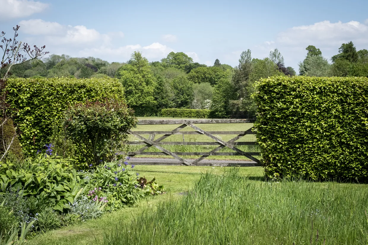 Chawton, Hampshire, GU34 photo 15
