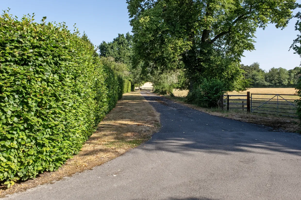 Chawton, Hampshire, GU34 photo 18