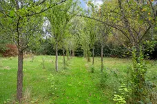Hither Chantlers Langton Green TN3 photo 18