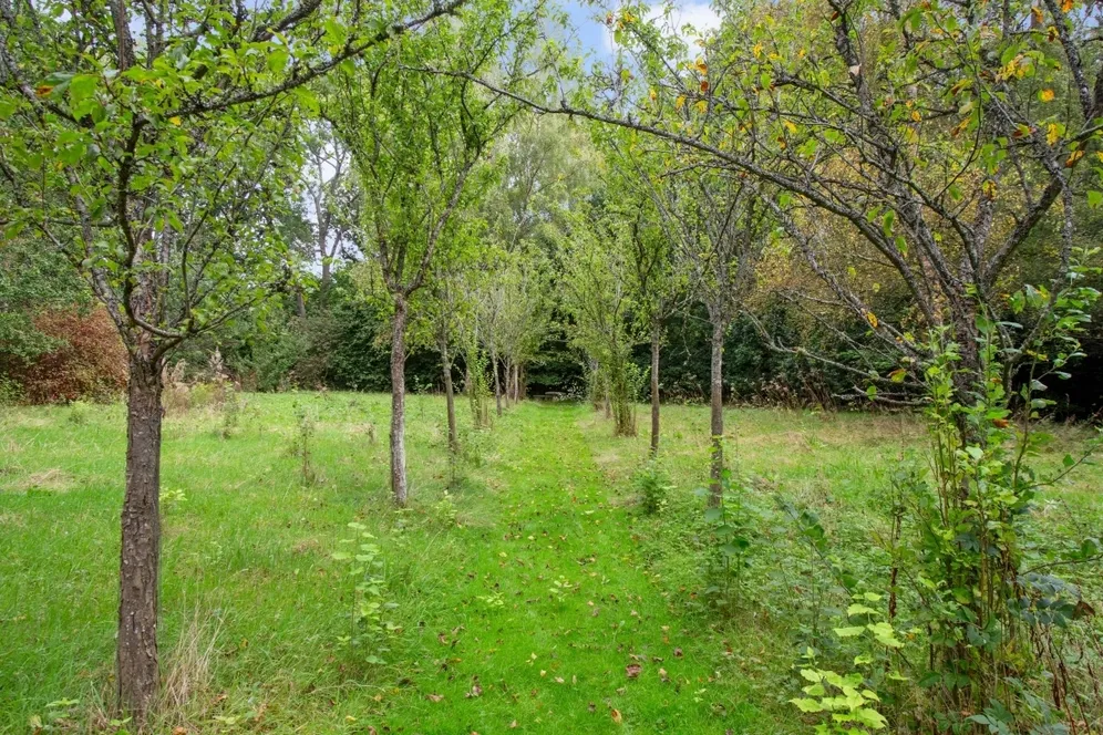 Hither Chantlers Langton Green TN3 photo 18