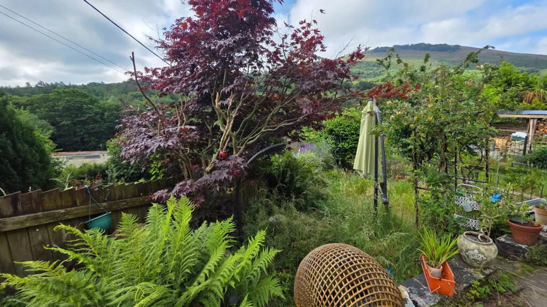 Property photo 13