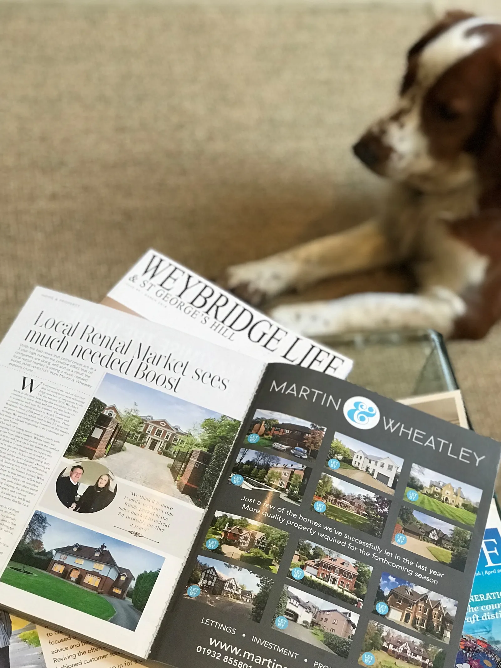 Article Show Page Hero