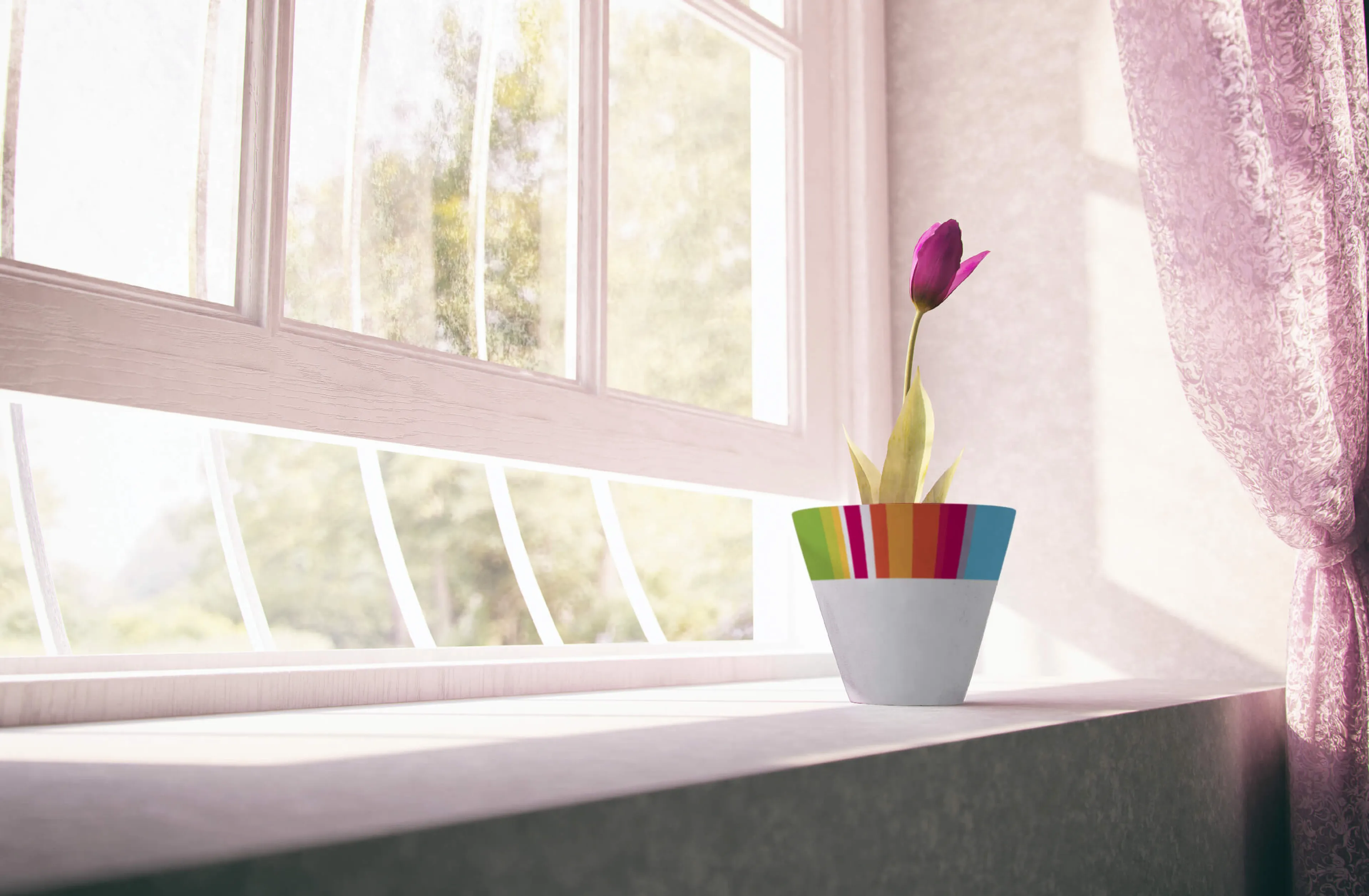 https://mr1.homeflow-assets.co.uk/files/site_asset/image/4396/7008/flower_pot_let.jpg