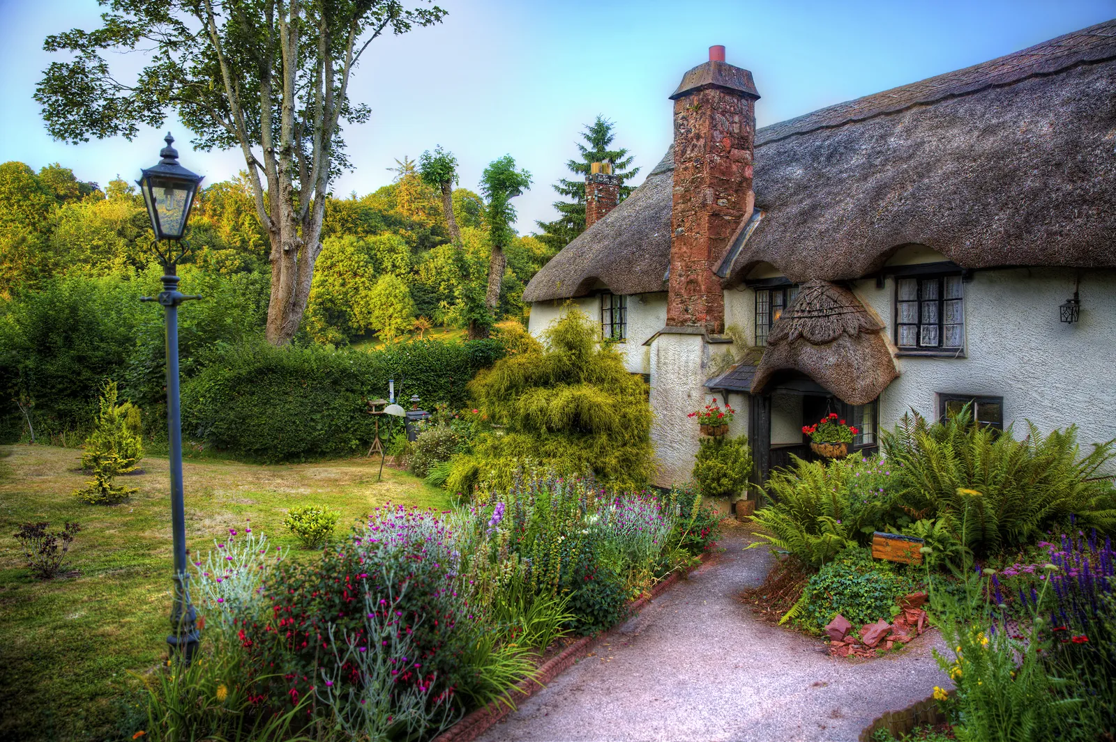 Getting your Garden Photograph-Ready