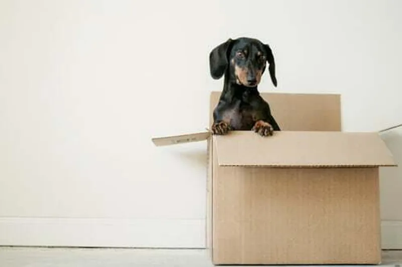 Thinking of moving in 2022?