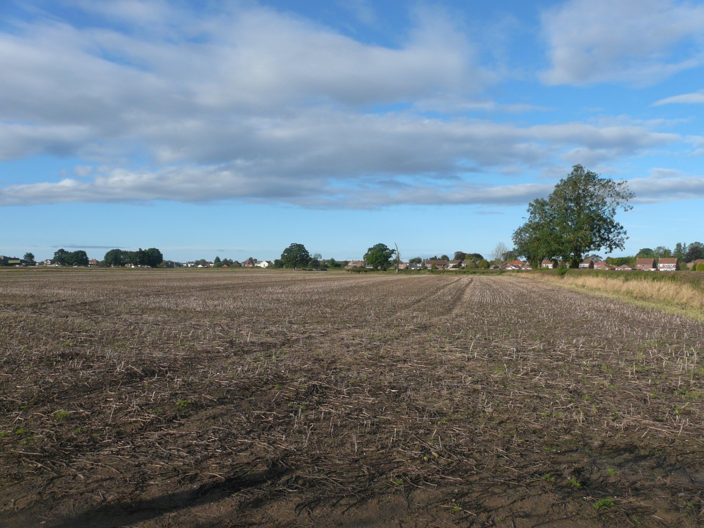 PARCEL OF YORK ARABLE LAND FOR SALE Dacre Son & Hartley