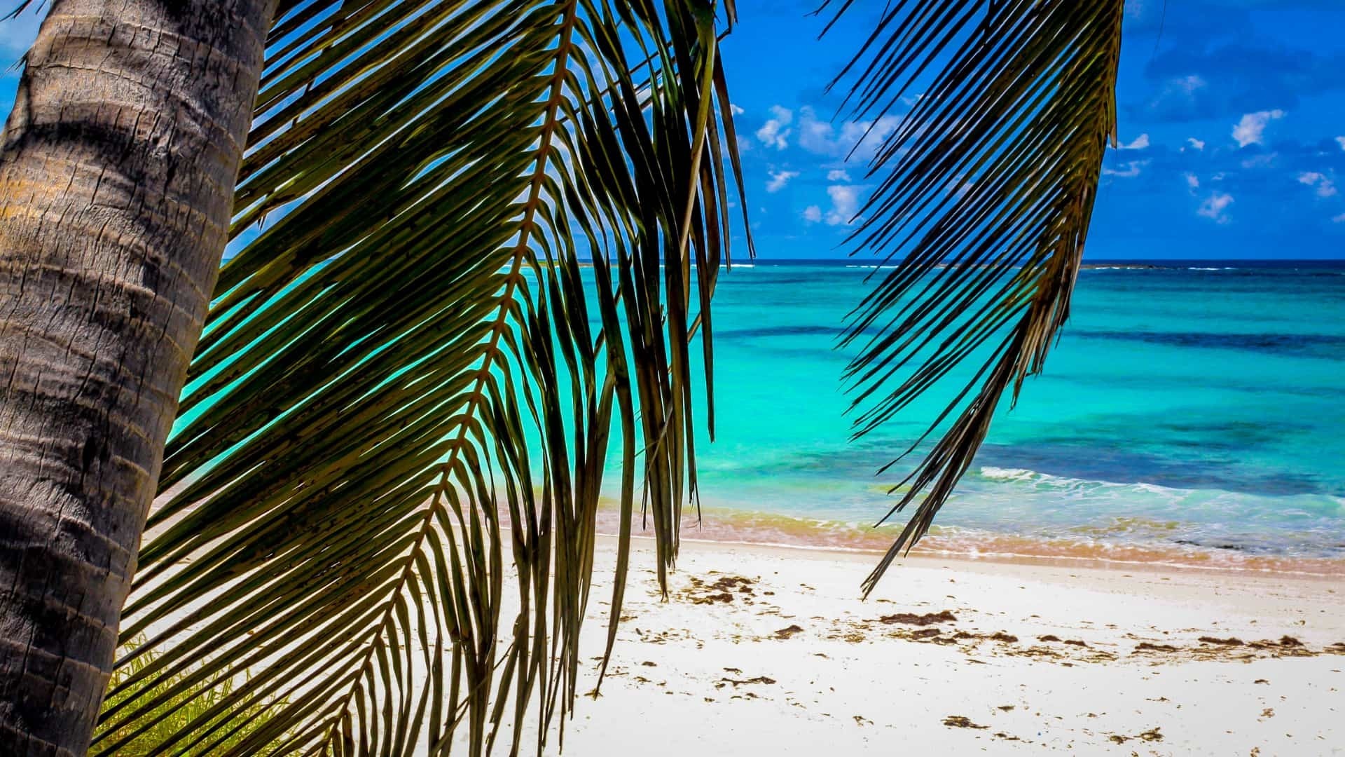 Paradise Island