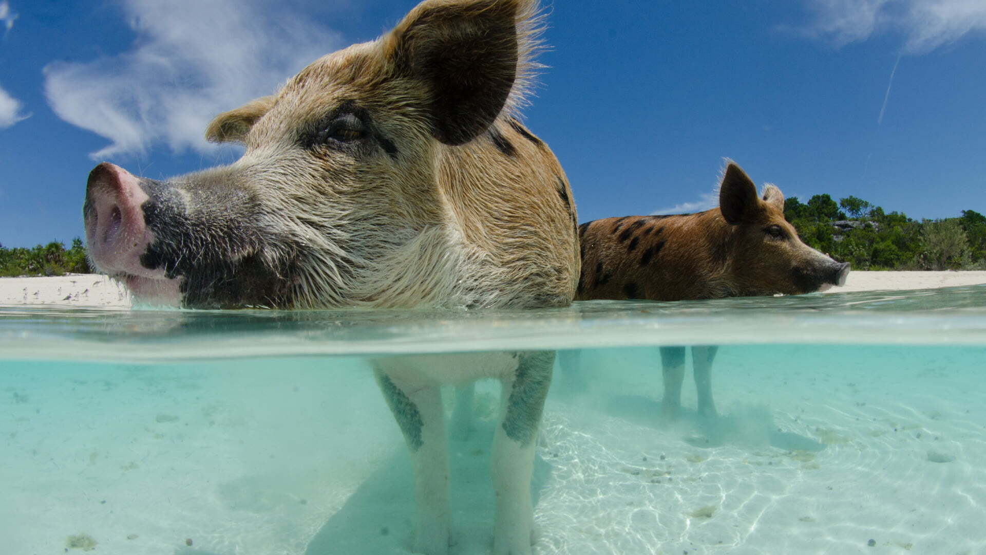 Exuma