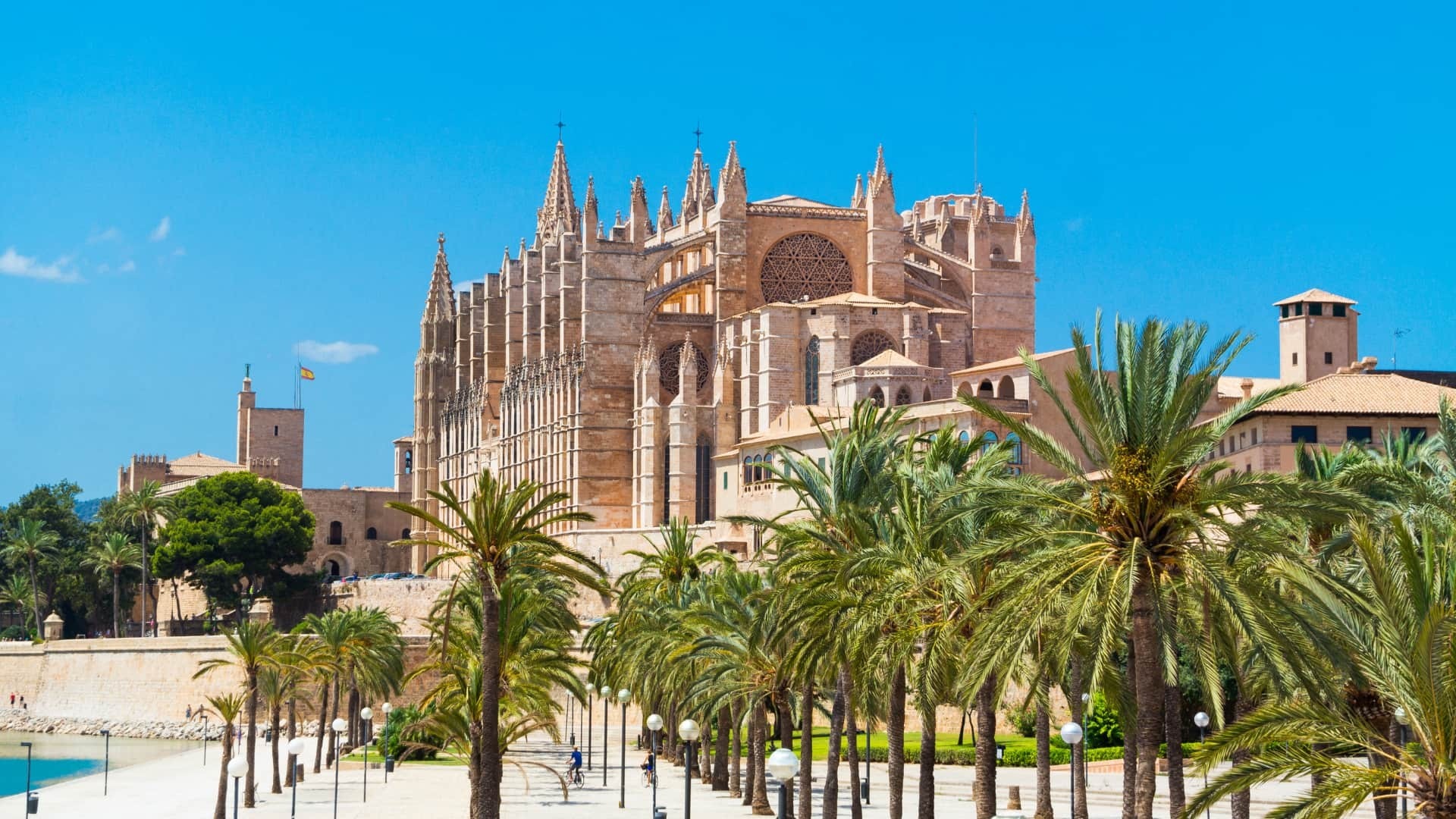Palma