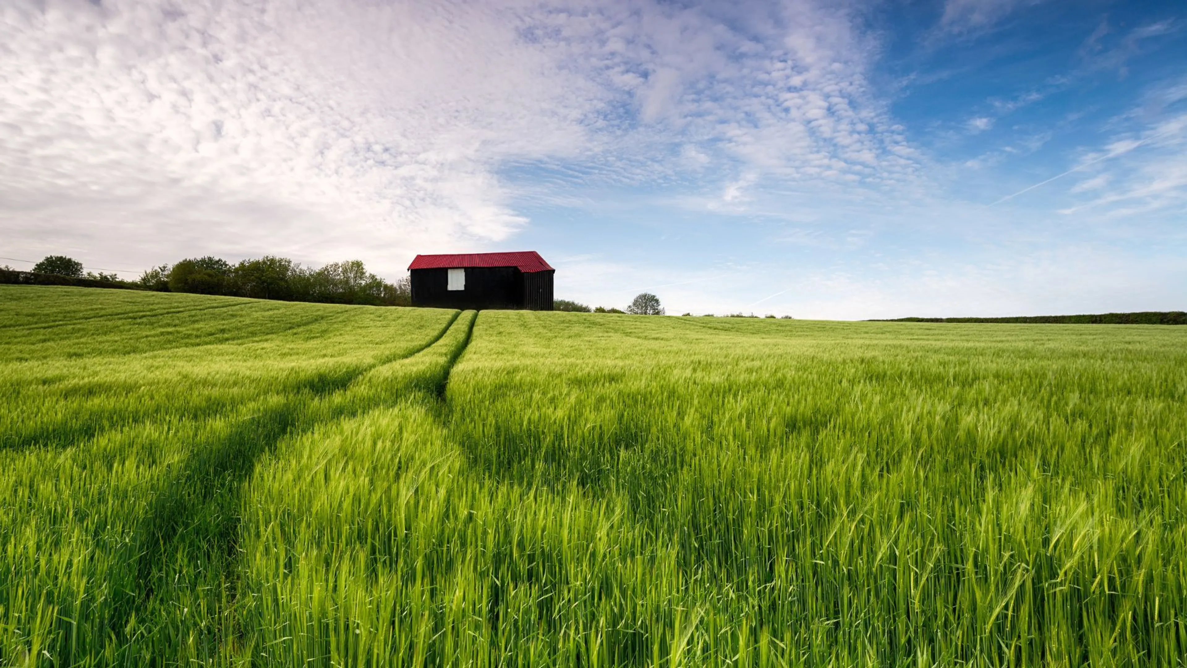 farms and land