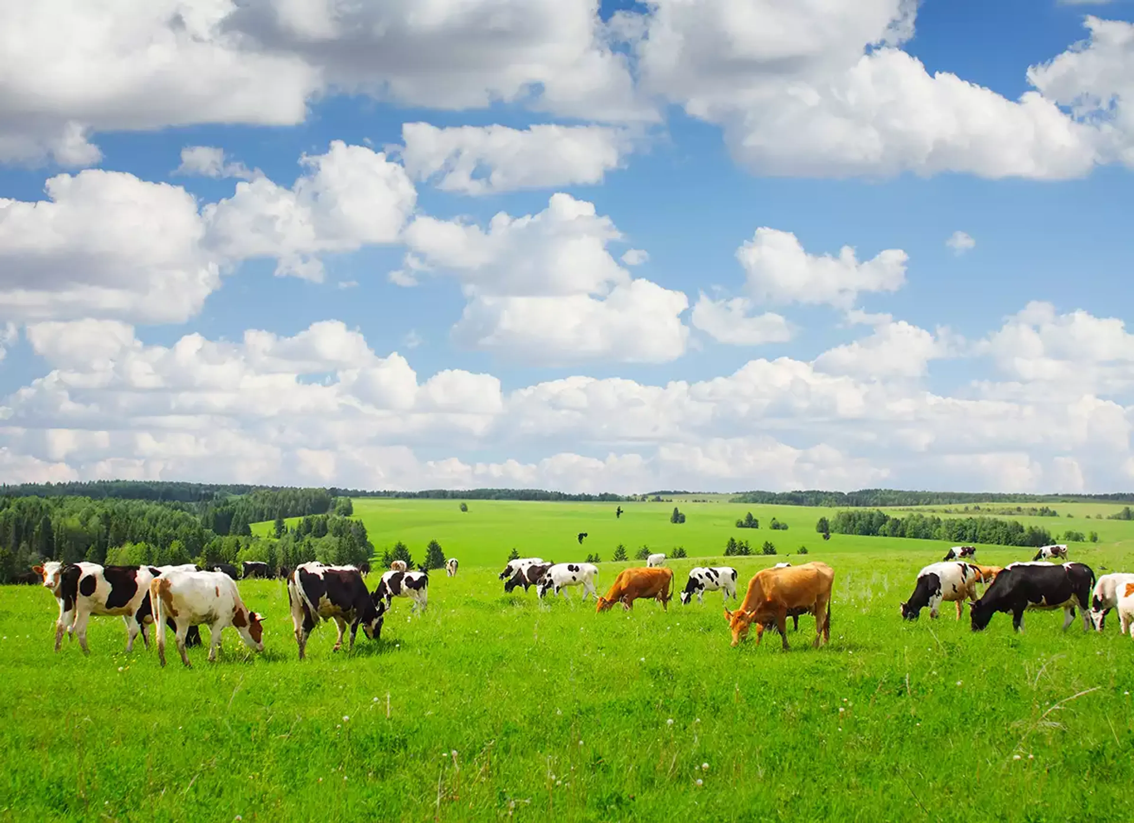 farms and land