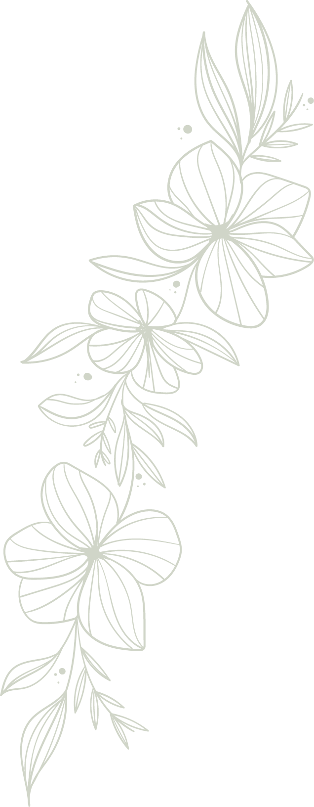 bg placeholder