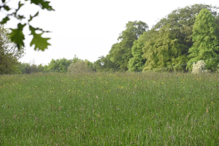 REVEALED: the best places to live in and around Bamber Bridge