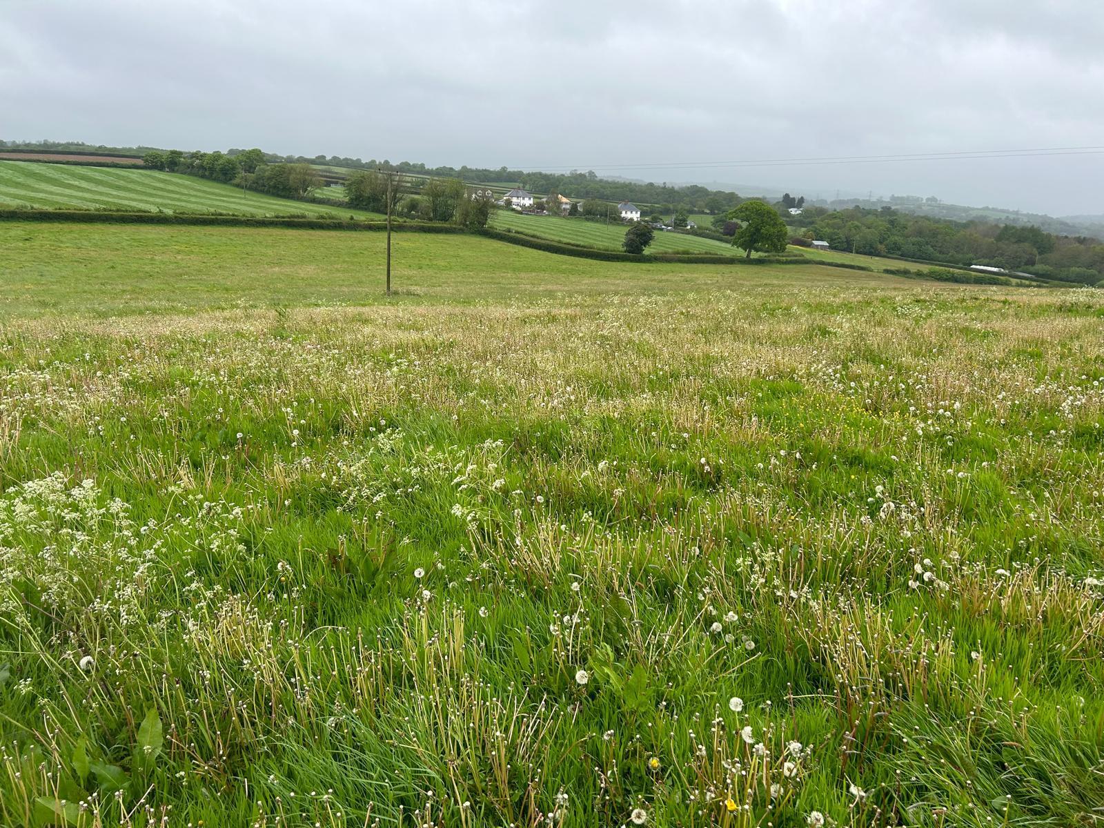 16.78 Acres at South Molton, Devon Stags Estate Agents