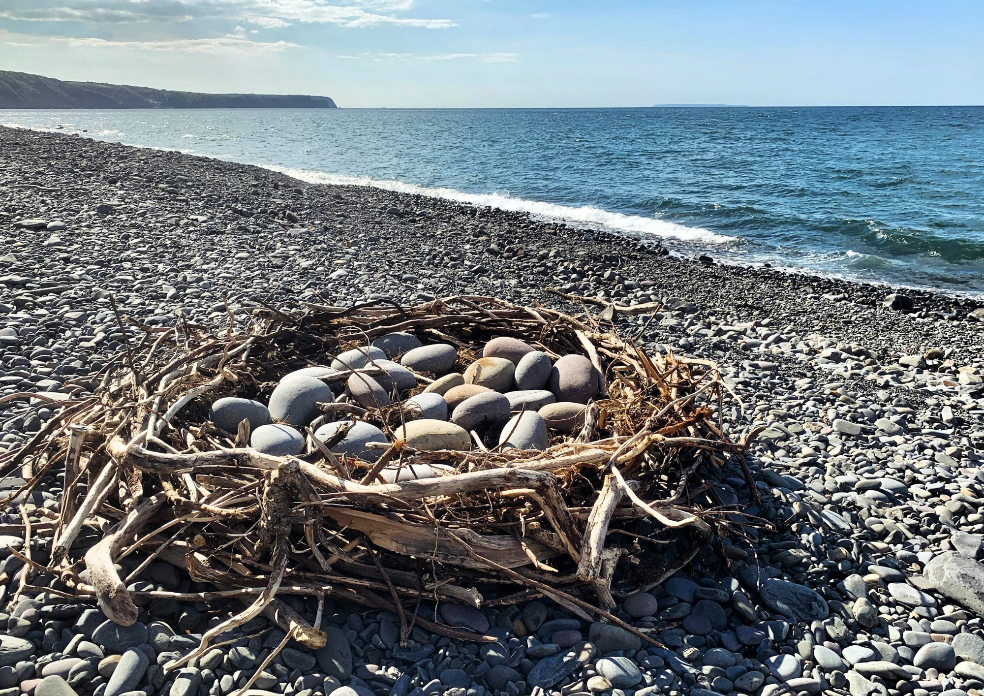 A driftwood nest of pebbles on a pebble beach with the sea and clifftops in the background.