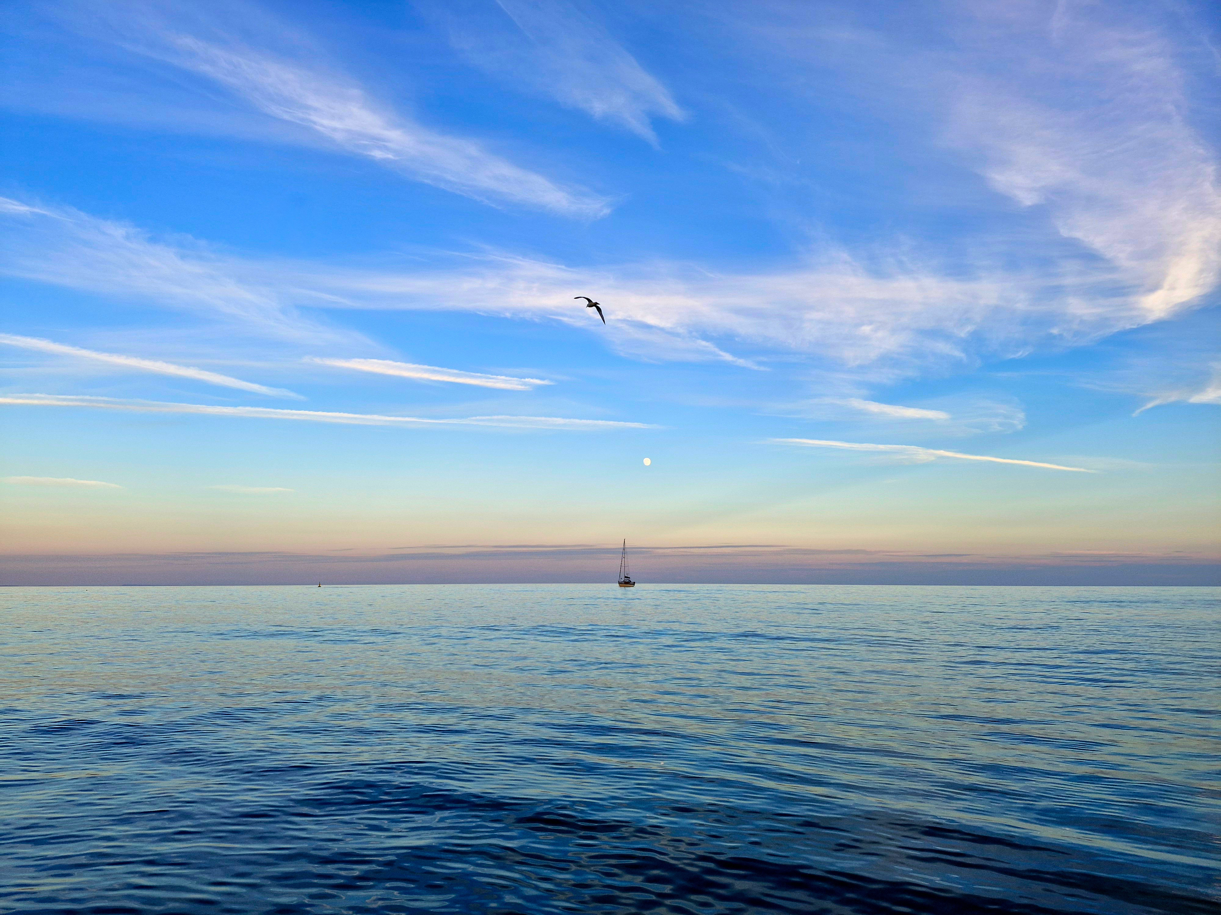 Blue sea with a boat on the horizon at sunrise with the moon and a bird flying across the sky above.