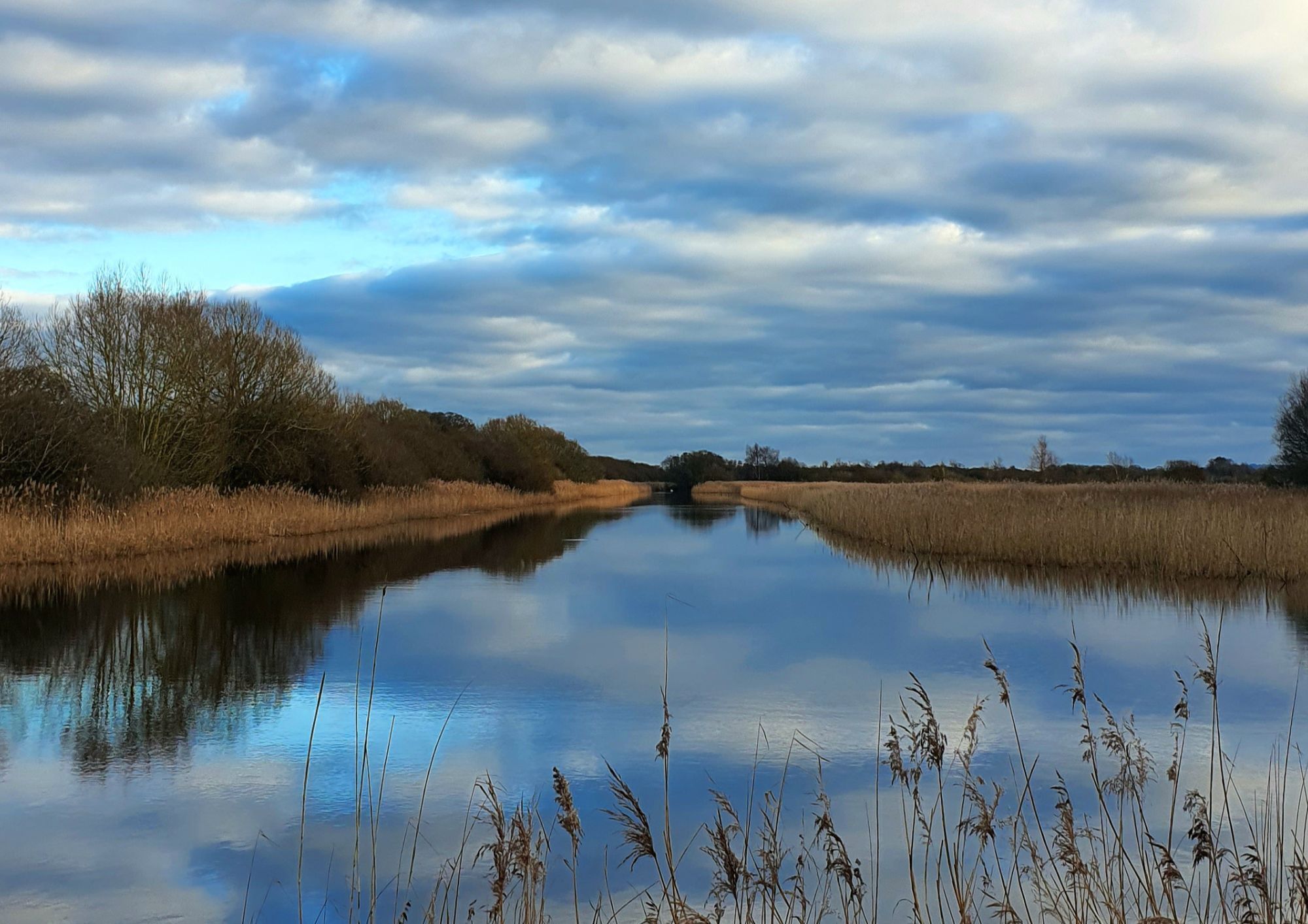 View of a wetland nature reserve with water, reed beds and an overcast sky.