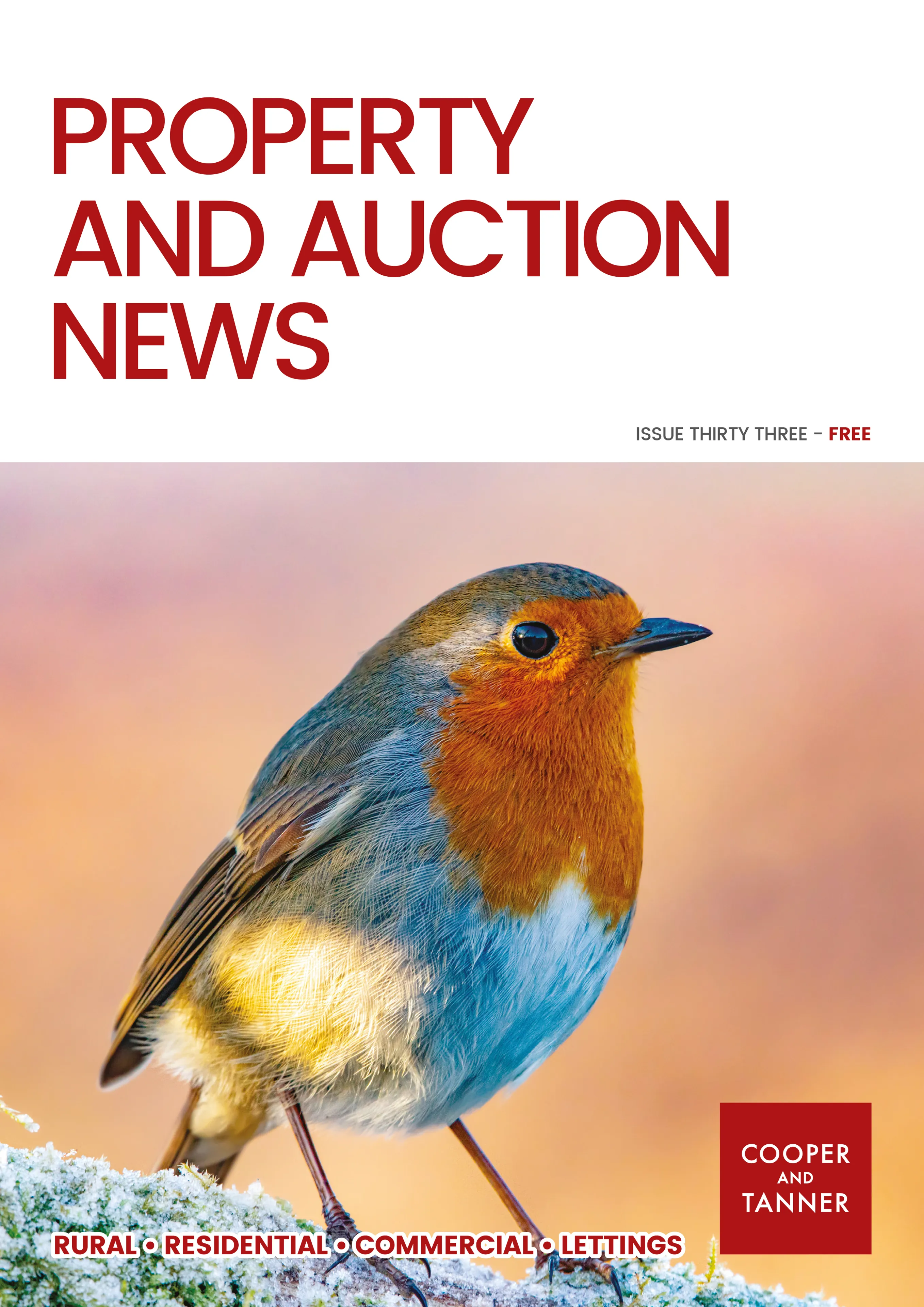 November 2024 - Issue 33