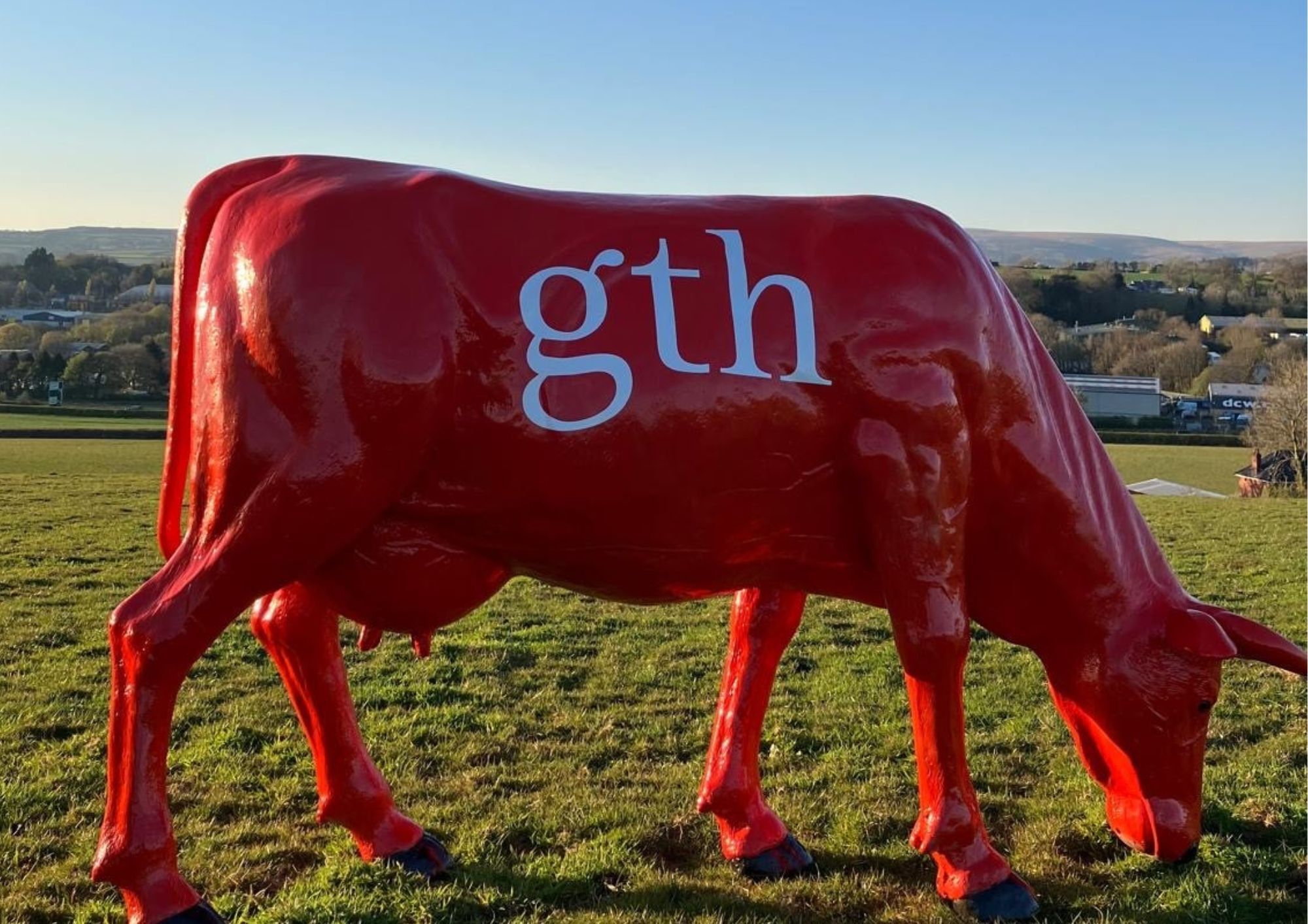 Cow in red.