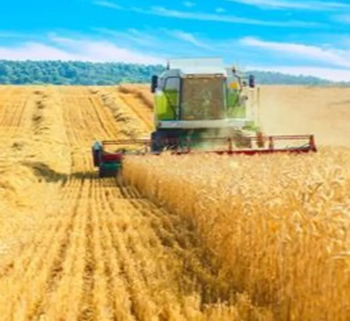 farms and land