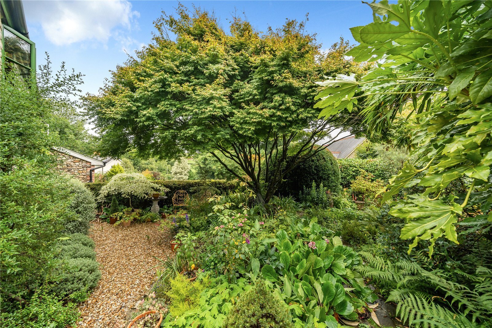 Garden filled with lush green plants and trees