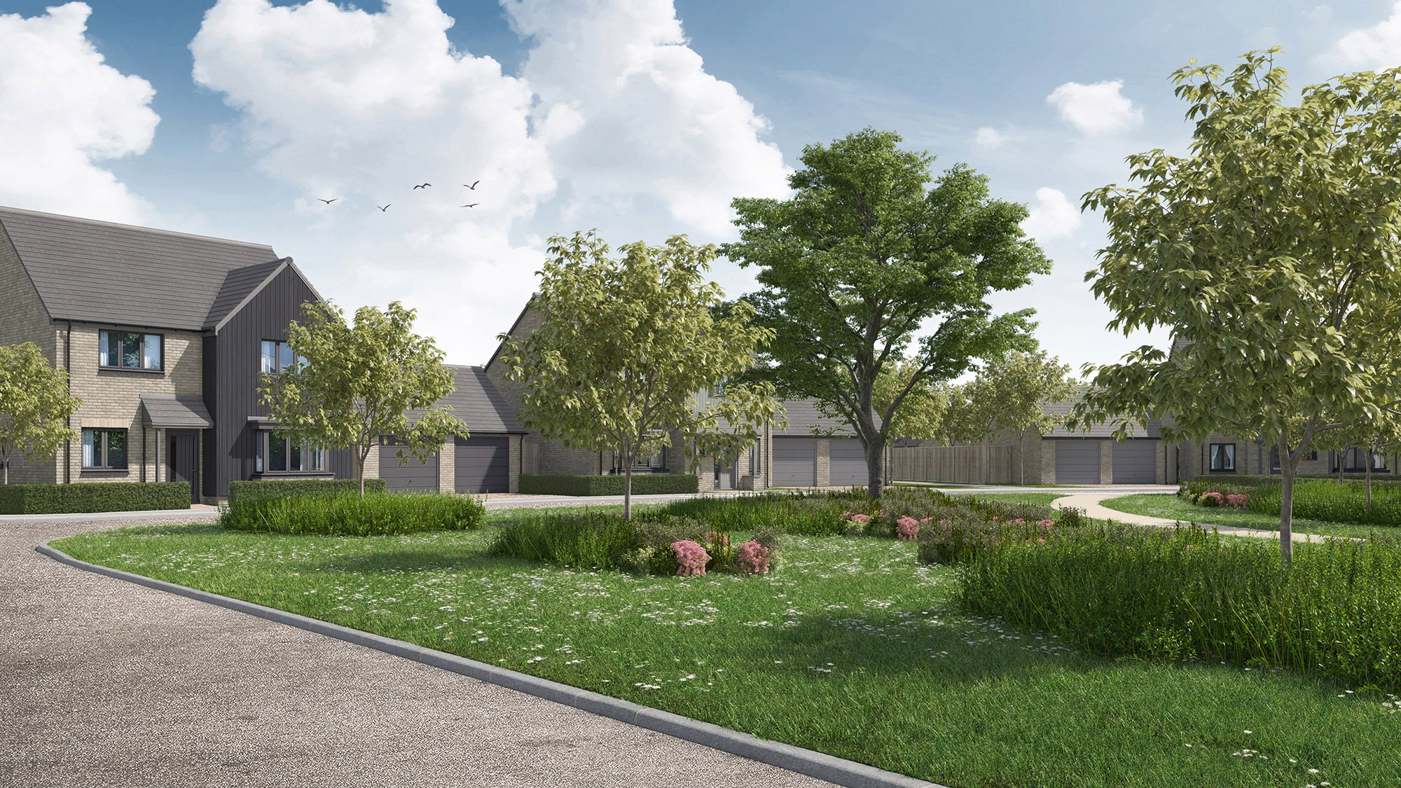 Collaton Park, new build houses, surrounded by greenery