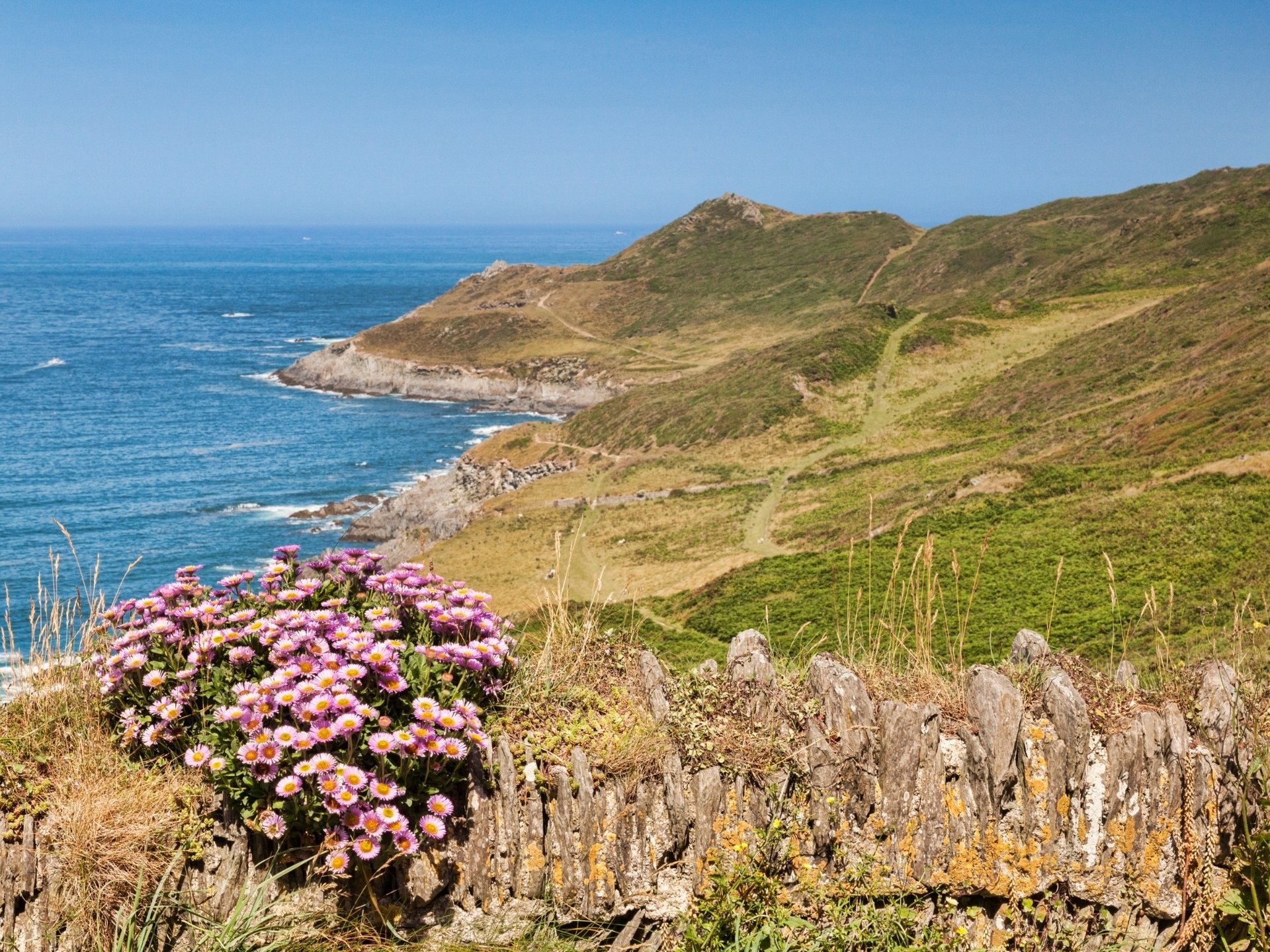 south west coast path, devon, sea and path through fields