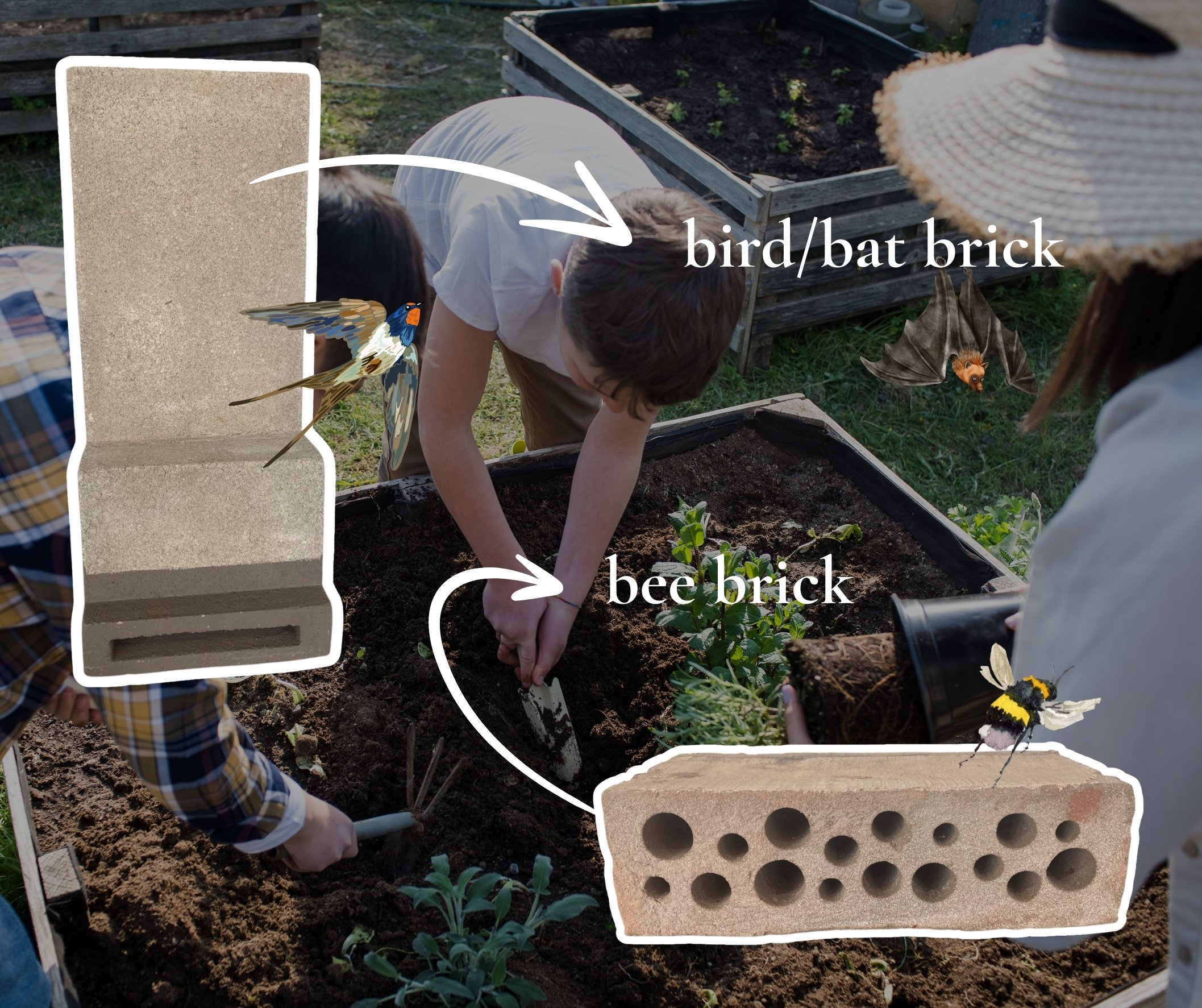 Graphic of bee brick and bat bricks at Collaton Park, Chillington