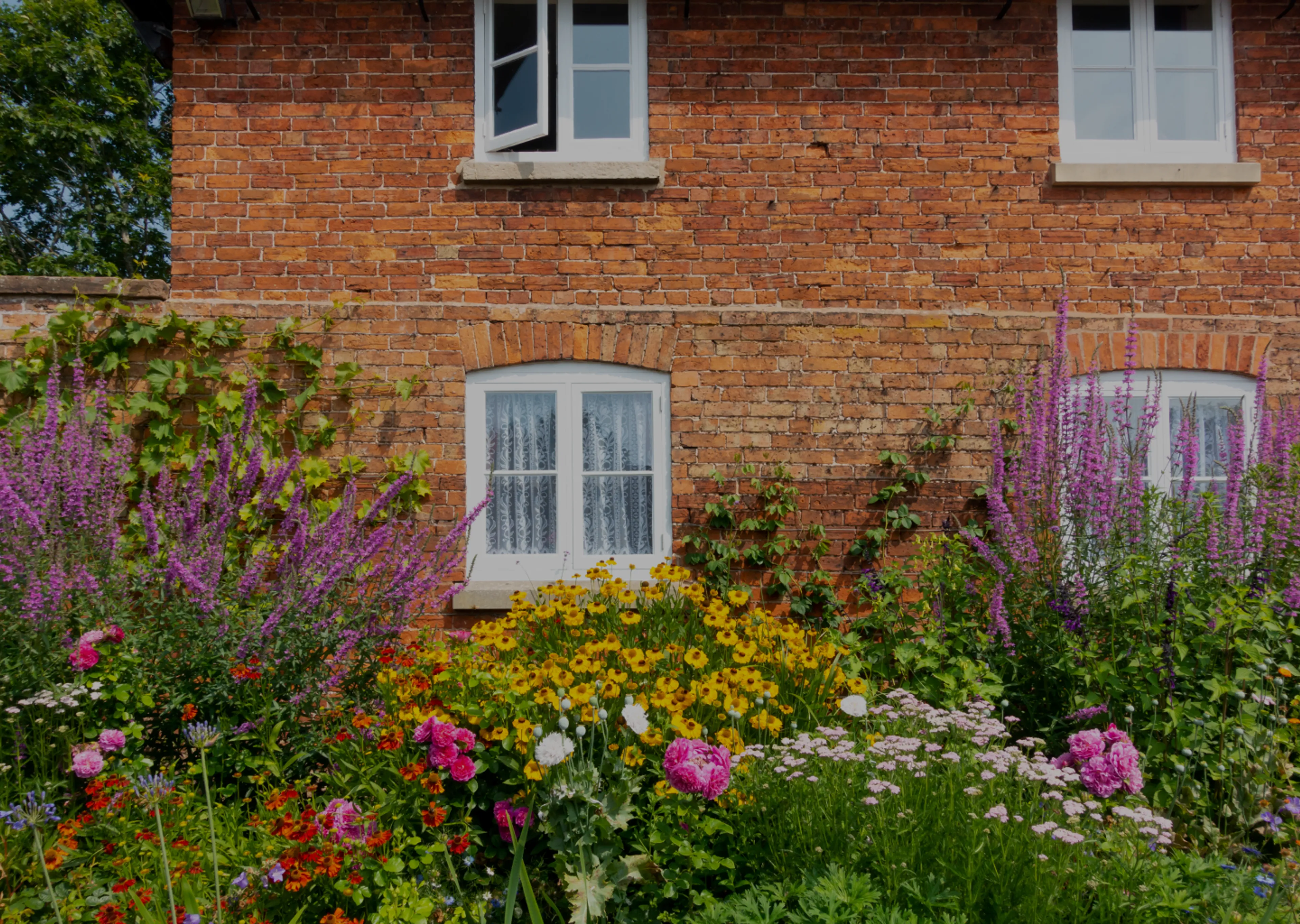 https://mr1.homeflow-assets.co.uk/files/site_asset/image/6879/1142/ways_to_have_a_great_looking_garden_all_year_round_SEQ.png