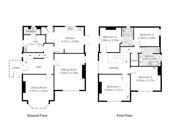 Section Image