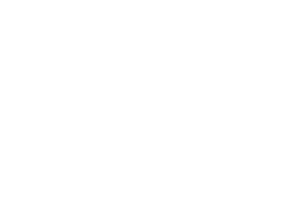 The Guild
