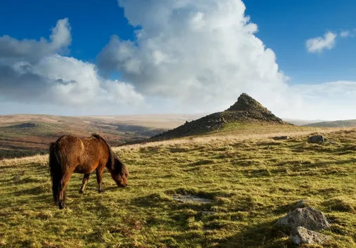Equestrian Property Demand Remains Strong in Devon with Dartmoor on The Doorstep