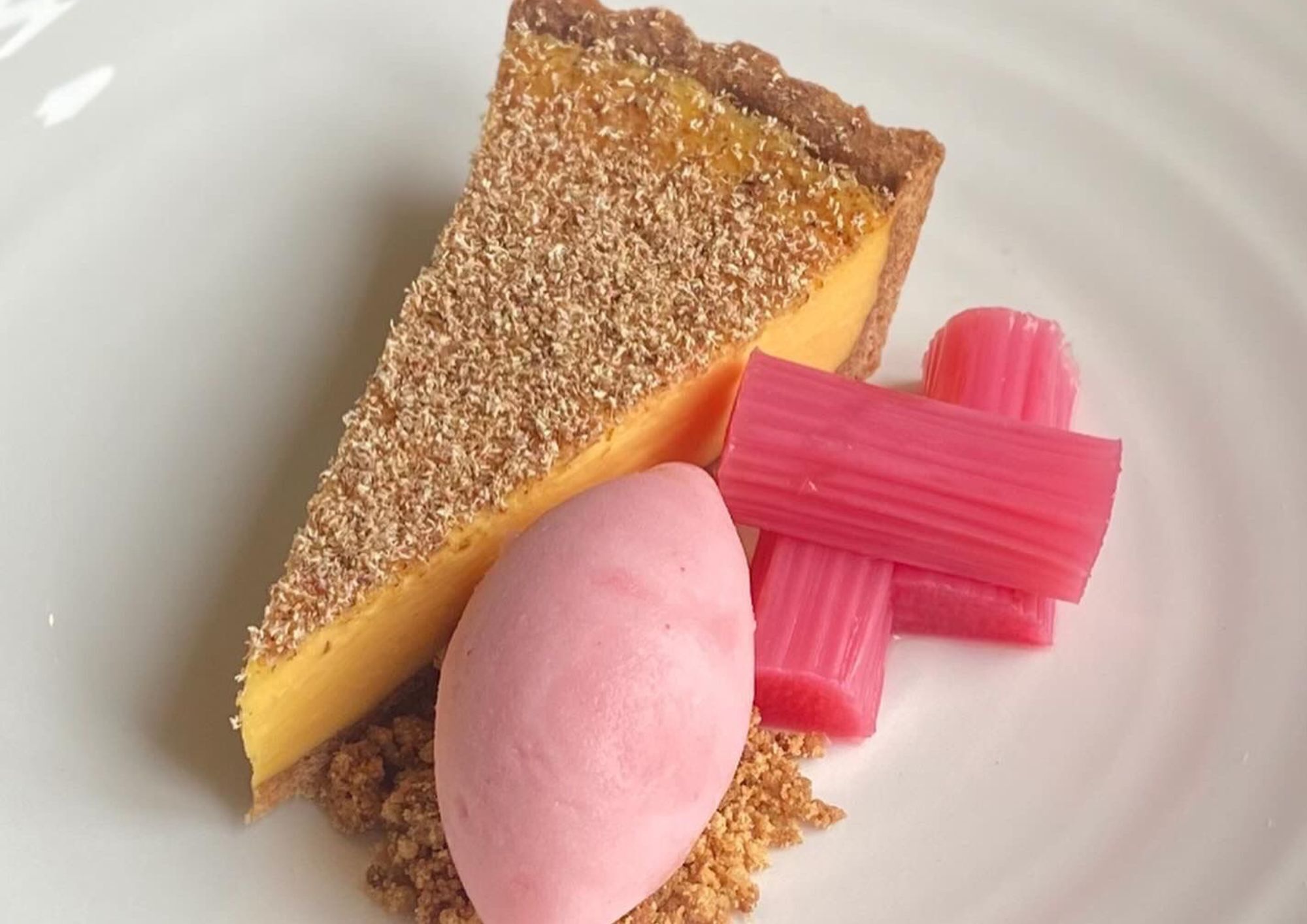 Custard tart and rhubarb pudding close up