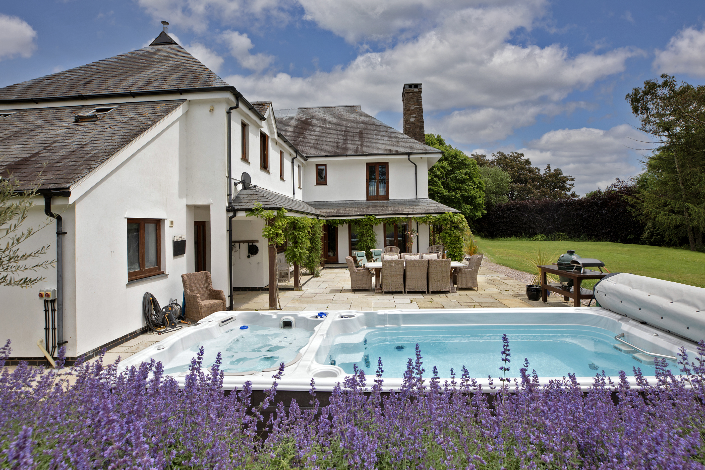 House with swimming pool and lavender in garden