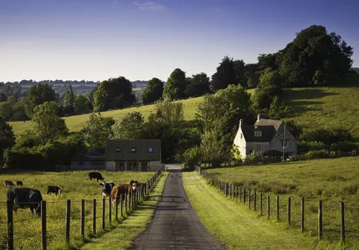 Renters’ Rights Act – What Do Rural Landlords Need to Know?